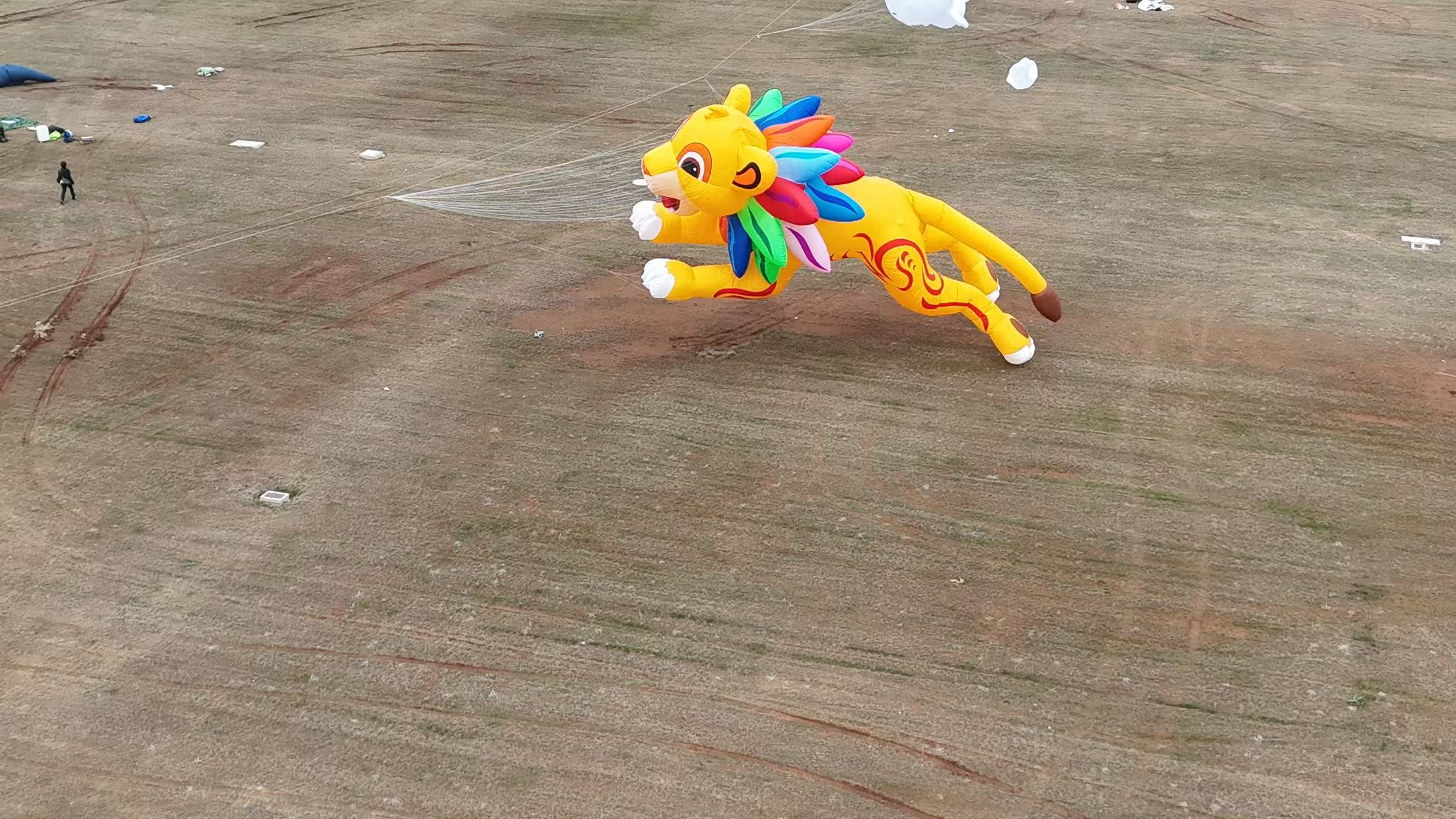 嘉兴市品牌风筝定制风筝定制 - 排名