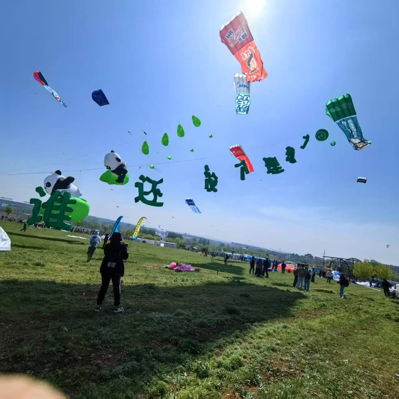 嘉兴市风筝商业放飞风筝定制 - 哪里好